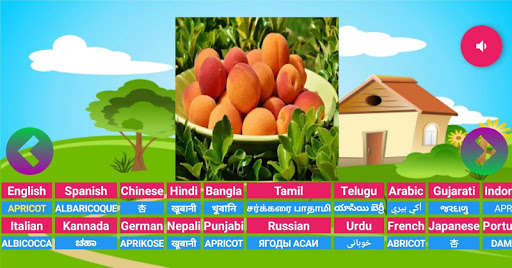 Run android online APK Learning Animals Fruits Vegetables Birds Meaning from MyAndroid or emulate Learning Animals Fruits Vegetables Birds Meaning using MyAndroid Run android online APK Learning Animals Fruits Vegetables Birds Meaning from MyAndroid or emulate Learning Animals Fruits Vegetables Birds Meaning using MyAndroid