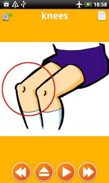Run android online APK Learning body parts for kids offline flashcards from MyAndroid or emulate Learning body parts for kids offline flashcards using MyAndroid Run android online APK Learning body parts for kids offline flashcards from MyAndroid or emulate Learning body parts for kids offline flashcards using MyAndroid