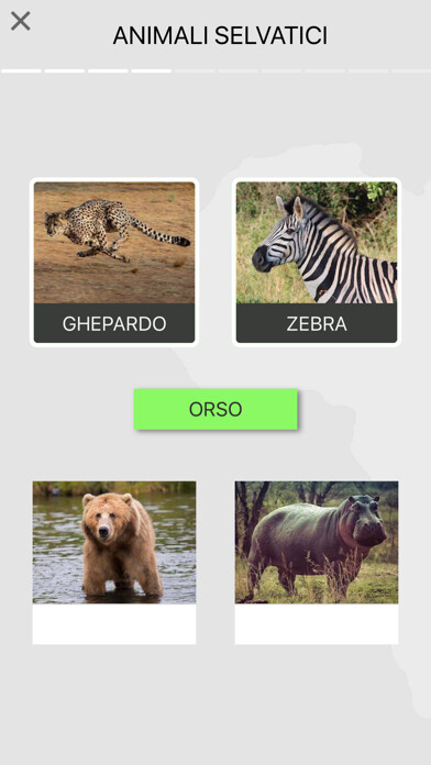 Emulate iPhone app Learn Italian Beginners Easily using MyAndroid Emulate iPhone app Learn Italian Beginners Easily using MyAndroid