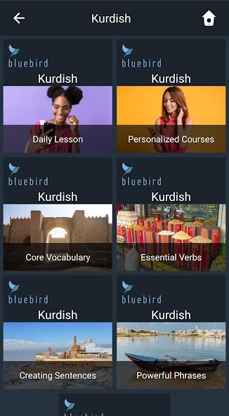 Run android online APK Learn Kurdish. Speak Kurdish. Study Kurdish. from MyAndroid or emulate Learn Kurdish. Speak Kurdish. Study Kurdish. using MyAndroid
