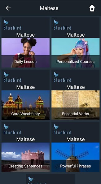 Run android online APK Learn Maltese. Speak Maltese. Study Maltese. from MyAndroid or emulate Learn Maltese. Speak Maltese. Study Maltese. using MyAndroid