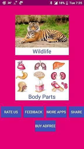 Run android online APK Learn Telugu Wildlife and Body Parts Names from MyAndroid or emulate Learn Telugu Wildlife and Body Parts Names using MyAndroid