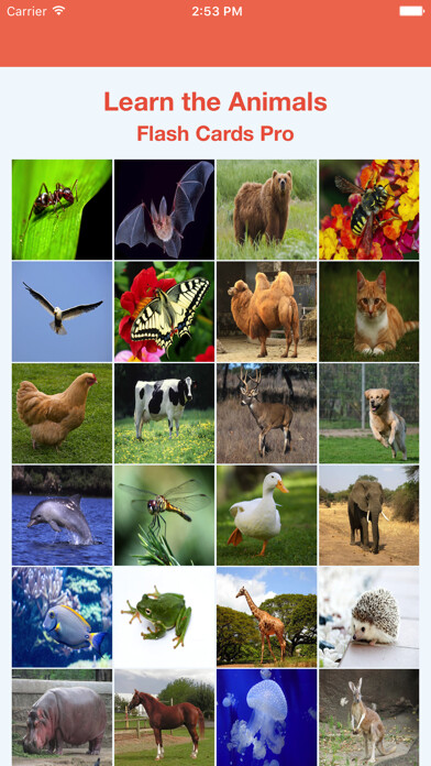 Emulate iPhone app Learn the Animals Flash Cards Pro using MyAndroid