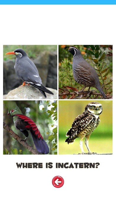 Emulate iPhone app Learn the Birds Phonetic using MyAndroid Emulate iPhone app Learn the Birds Phonetic using MyAndroid