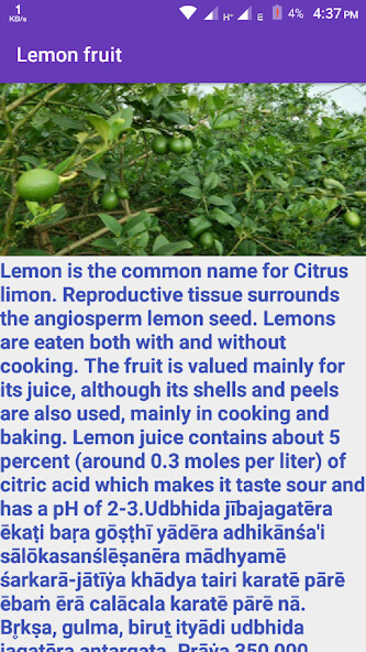 Run android online APK Learn Vegetable from MyAndroid or emulate Learn Vegetable using MyAndroid