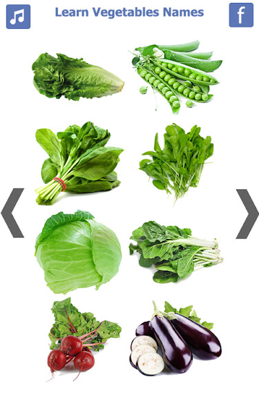 Run android online APK Learn Vegetables Name from MyAndroid or emulate Learn Vegetables Name using MyAndroid