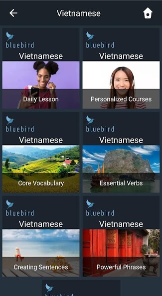 Run android online APK Learn Vietnamese. Speak Vietnamese. from MyAndroid or emulate Learn Vietnamese. Speak Vietnamese. using MyAndroid Run android online APK Learn Vietnamese. Speak Vietnamese. from MyAndroid or emulate Learn Vietnamese. Speak Vietnamese. using MyAndroid