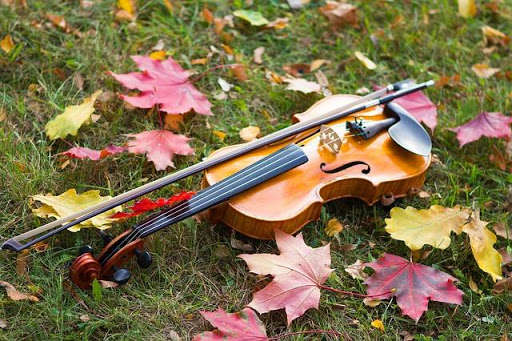 Run android online APK LEARN VIOLIN FAST from MyAndroid or emulate LEARN VIOLIN FAST using MyAndroid