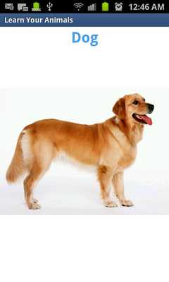 Emulate Android APK Learn Your Animals Emulate Android APK Learn Your Animals