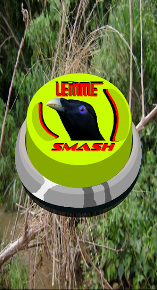Run android online APK Lemme smash bird sound button from MyAndroid or emulate Lemme smash bird sound button using MyAndroid
