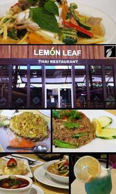 Emulate Android APK Lemon Leaf Emulate Android APK Lemon Leaf