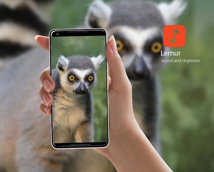Run android online APK Lemur Sound Effects from MyAndroid or emulate Lemur Sound Effects using MyAndroid