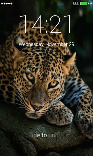 Run android online APK Leopard Lock Screen from MyAndroid or emulate Leopard Lock Screen using MyAndroid