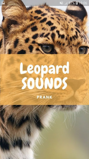 Run android online APK Leopard Sounds and Wallpapers from MyAndroid or emulate Leopard Sounds and Wallpapers using MyAndroid Run android online APK Leopard Sounds and Wallpapers from MyAndroid or emulate Leopard Sounds and Wallpapers using MyAndroid