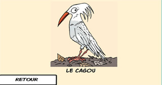 Emulate iPhone app Les oiseaux du Caillou - NC using MyAndroid