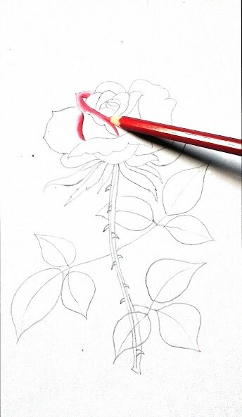 Run android online APK Lets draw rose flower from MyAndroid or emulate Lets draw rose flower using MyAndroid Run android online APK Lets draw rose flower from MyAndroid or emulate Lets draw rose flower using MyAndroid