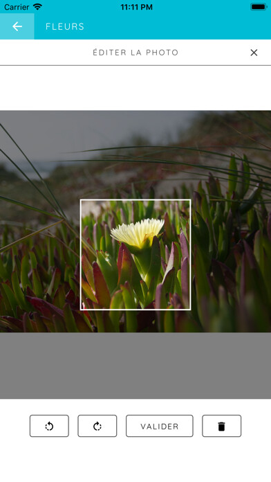 Emulate iPhone app Leximage using MyAndroid