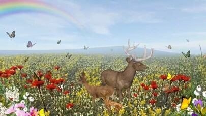Emulate iPhone app Life Of Deer using MyAndroid Emulate iPhone app Life Of Deer using MyAndroid