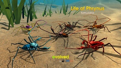 Run android online APK Life of Phrynus - Whip Spider from MyAndroid or emulate Life of Phrynus - Whip Spider using MyAndroid Run android online APK Life of Phrynus - Whip Spider from MyAndroid or emulate Life of Phrynus - Whip Spider using MyAndroid