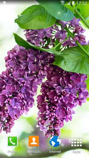 Emulate Android APK Lilac Live Wallpaper