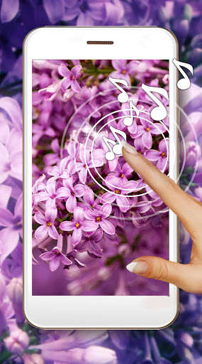 Run android online APK Lilac Pure Live Wallpaper from MyAndroid or emulate Lilac Pure Live Wallpaper using MyAndroid Run android online APK Lilac Pure Live Wallpaper from MyAndroid or emulate Lilac Pure Live Wallpaper using MyAndroid