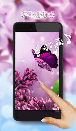 Run android online APK Lilac Purple n White from MyAndroid or emulate Lilac Purple n White using MyAndroid