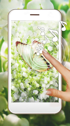 Run android online APK Lilies Valley Tenderness from MyAndroid or emulate Lilies Valley Tenderness using MyAndroid Run android online APK Lilies Valley Tenderness from MyAndroid or emulate Lilies Valley Tenderness using MyAndroid