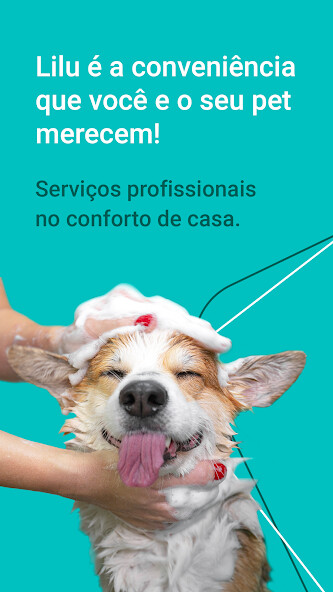 Run android online APK Lilu: Banho e Tosa a domicílio from MyAndroid or emulate Lilu: Banho e Tosa a domicílio using MyAndroid