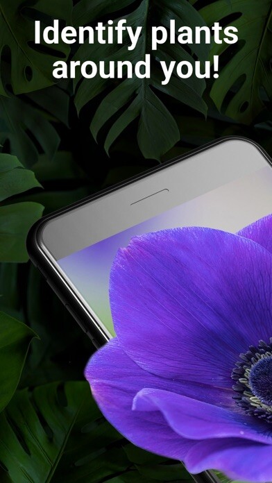 Run android online APK Lily - Plant Identification from MyAndroid or emulate Lily - Plant Identification using MyAndroid