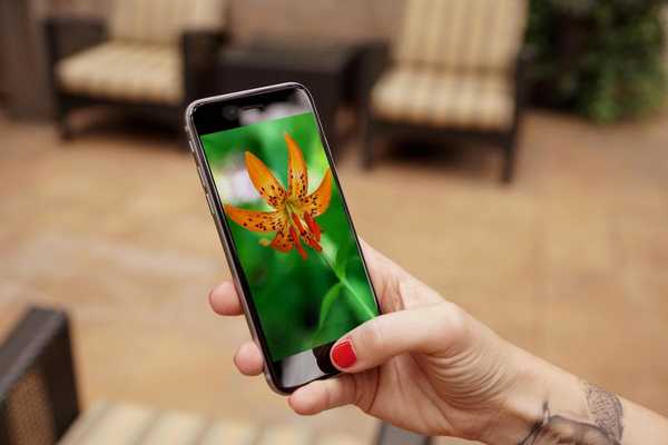 Emulate Android APK Lily  Wallpaper HD