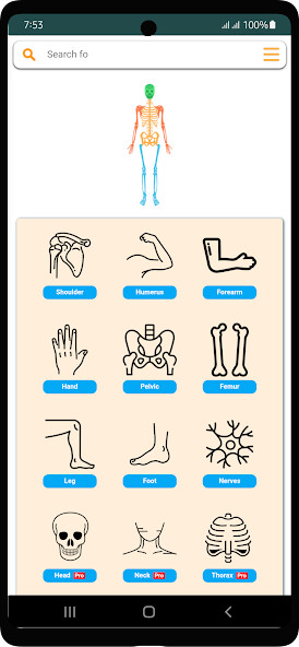 Run android online APK Limbs Anatomy Muscles  Nerves from MyAndroid or emulate Limbs Anatomy Muscles  Nerves using MyAndroid