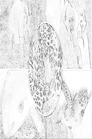 Run android online APK Line Drawing Wild Animals Wallpapers app from MyAndroid or emulate Line Drawing Wild Animals Wallpapers app using MyAndroid