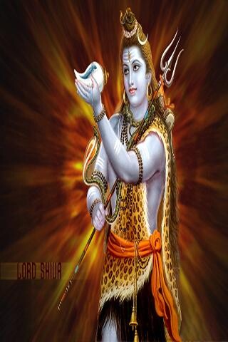 Run android online APK Lingastakam from MyAndroid or emulate Lingastakam using MyAndroid Run android online APK Lingastakam from MyAndroid or emulate Lingastakam using MyAndroid