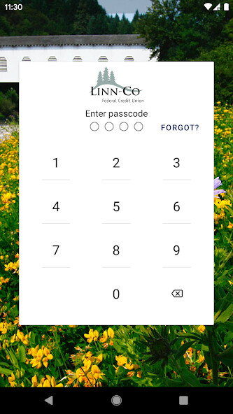 Run android online APK Linn-Co FCU Mobile Banking from MyAndroid or emulate Linn-Co FCU Mobile Banking using MyAndroid