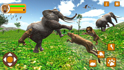 Emulate iPhone app Lion Family King Simulator using MyAndroid Emulate iPhone app Lion Family King Simulator using MyAndroid
