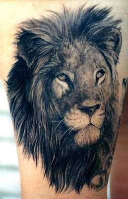 Emulate Android APK Lion Roar Tattoo Design