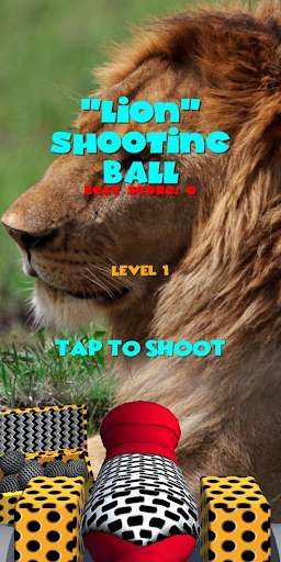 Run android online APK Lion Shooting Ball from MyAndroid or emulate Lion Shooting Ball using MyAndroid