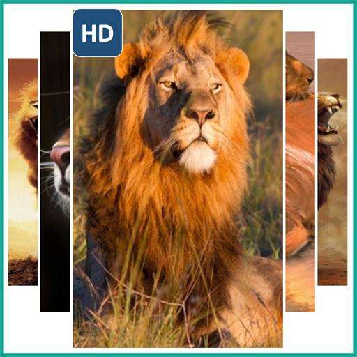 Emulate Android APK lions live wallpapers Emulate Android APK lions live wallpapers