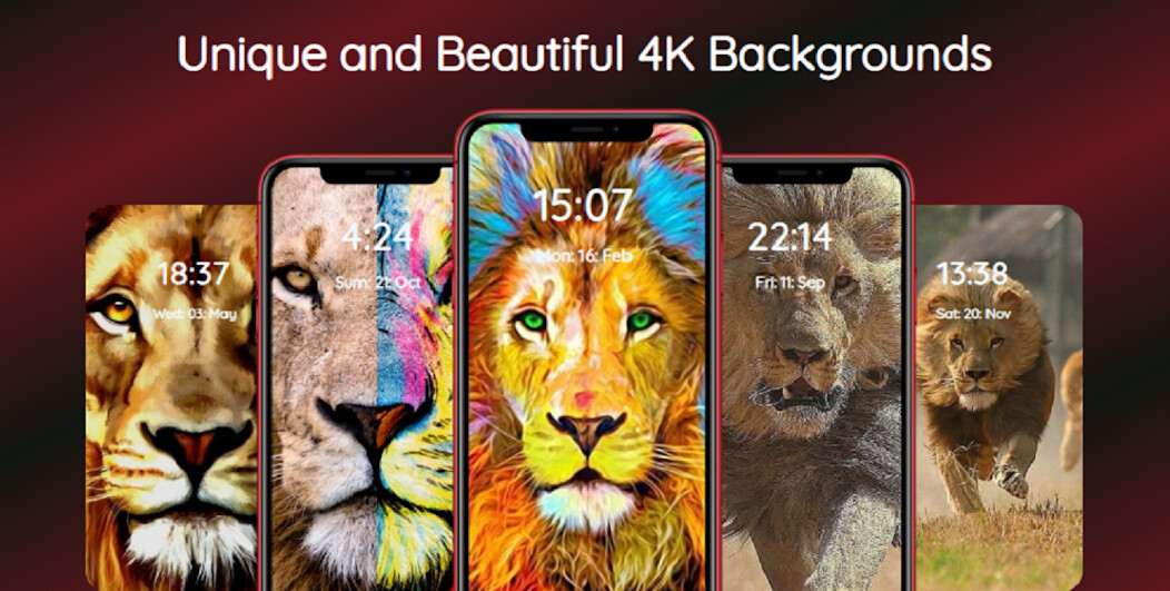 Run android online APK Lion Wallpaper HD KING Leo from MyAndroid or emulate Lion Wallpaper HD KING Leo using MyAndroid