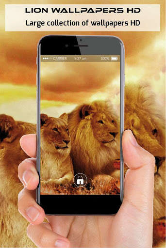 Run android online APK Lion wallpapers and backgrounds hd free images from MyAndroid or emulate Lion wallpapers and backgrounds hd free images using MyAndroid