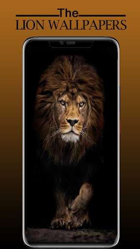 Run android online APK Lion Wallpaper, Sher Ka Photo from MyAndroid or emulate Lion Wallpaper, Sher Ka Photo using MyAndroid Run android online APK Lion Wallpaper, Sher Ka Photo from MyAndroid or emulate Lion Wallpaper, Sher Ka Photo using MyAndroid