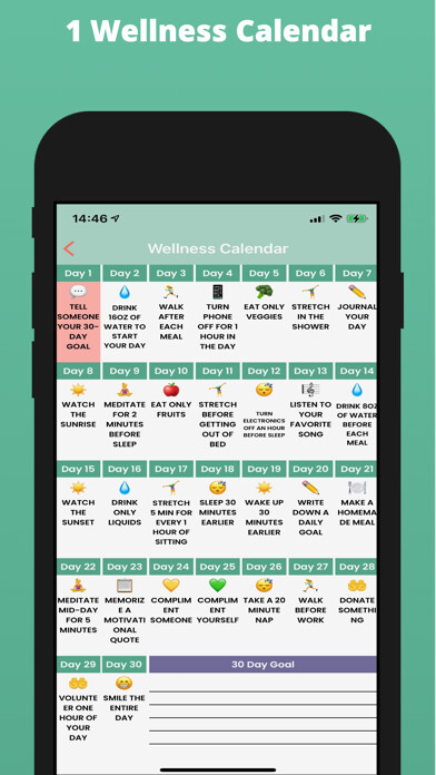 Emulate iPhone app Lisa Fit Wellness Journal using MyAndroid Emulate iPhone app Lisa Fit Wellness Journal using MyAndroid