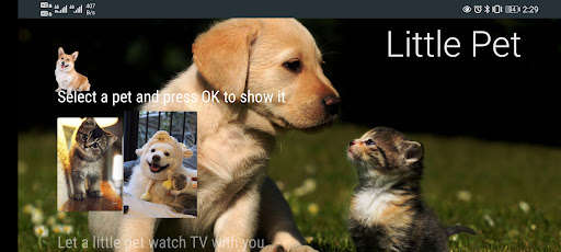 Run android online APK Little Pet from MyAndroid or emulate Little Pet using MyAndroid Run android online APK Little Pet from MyAndroid or emulate Little Pet using MyAndroid