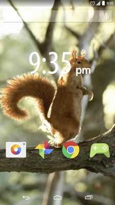 Emulate Android APK Little red squirrel LWallpaper
