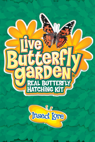 Emulate iPhone app Live Butterfly Garden using MyAndroid Emulate iPhone app Live Butterfly Garden using MyAndroid