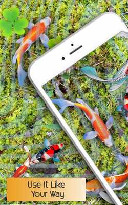 Emulate Android APK Live Fish Wallpapers Emulate Android APK Live Fish Wallpapers