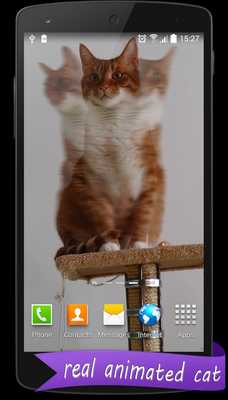 Emulate Android APK Live HD Cat Wallpaper Emulate Android APK Live HD Cat Wallpaper