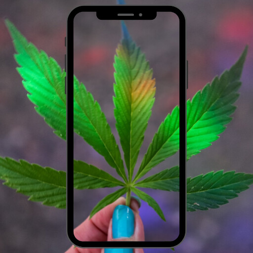 Run android online APK Live Neon Weed Live Wallpaper from MyAndroid or emulate Live Neon Weed Live Wallpaper using MyAndroid Run android online APK Live Neon Weed Live Wallpaper from MyAndroid or emulate Live Neon Weed Live Wallpaper using MyAndroid