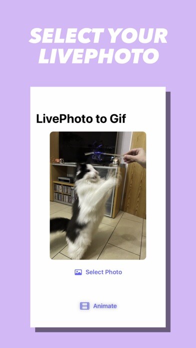 Emulate iPhone app LivePhoto Animation Share using MyAndroid Emulate iPhone app LivePhoto Animation Share using MyAndroid