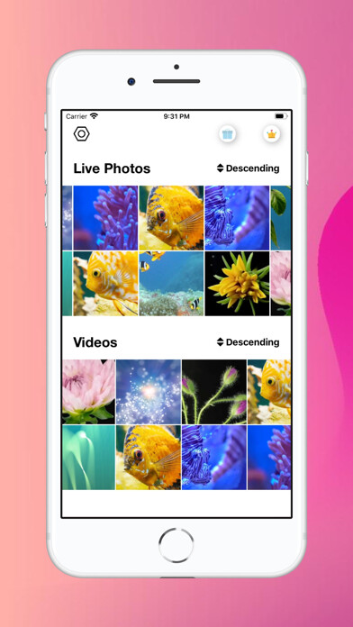 Emulate iPhone app Live Photo Converter . using MyAndroid